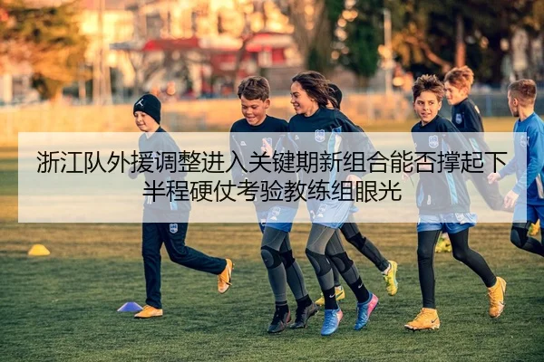 浙江队外援调整进入关键期新组合能否撑起下半程硬仗考验教练组眼光